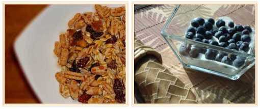 granola and berries revised